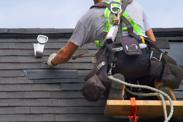Best Local Roofing Companies  in Woodbine, GA