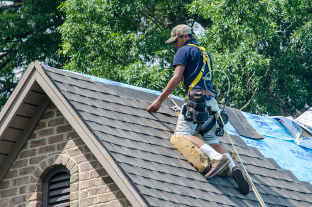 Best Roof Leak Repair  in Woodbine, GA